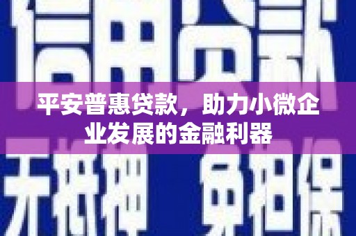 巴马平安普惠贷款，助力小微企业发展的金融利器