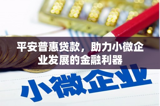 巴马平安普惠贷款，助力小微企业发展的金融利器
