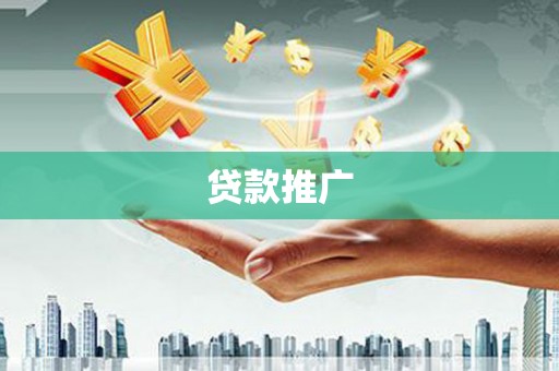 巴马贷款推广