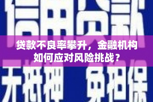 巴马贷款不良率攀升，金融机构如何应对风险挑战？