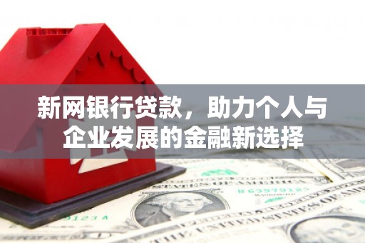 巴马新网银行贷款，助力个人与企业发展的金融新选择