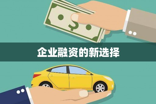 巴马企业融资的新选择