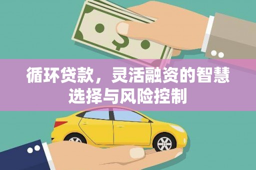 巴马循环贷款，灵活融资的智慧选择与风险控制