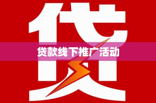 巴马贷款线下推广活动