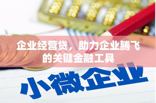 巴马企业经营贷，助力企业腾飞的关键金融工具