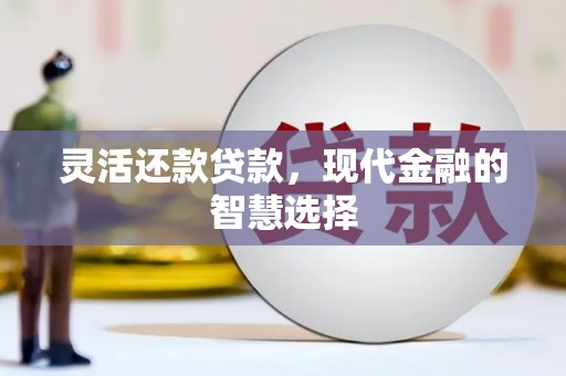 巴马灵活还款贷款，现代金融的智慧选择