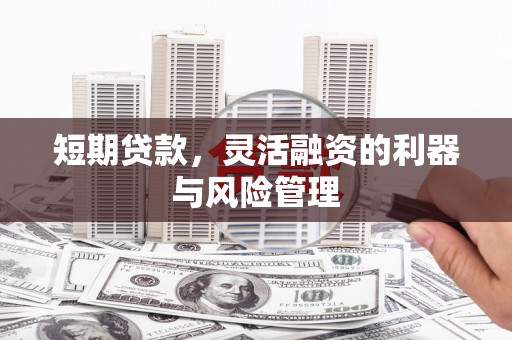 巴马短期贷款，灵活融资的利器与风险管理