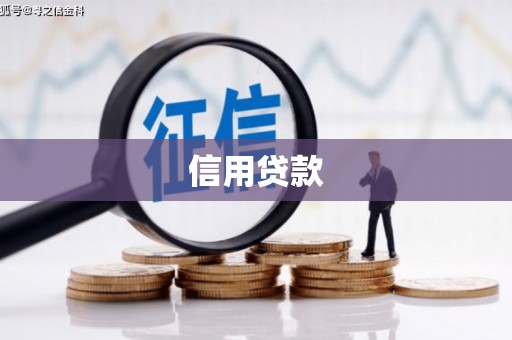 巴马信用贷款