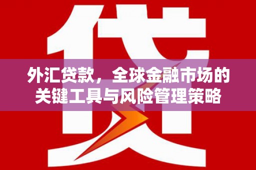 巴马外汇贷款，全球金融市场的关键工具与风险管理策略