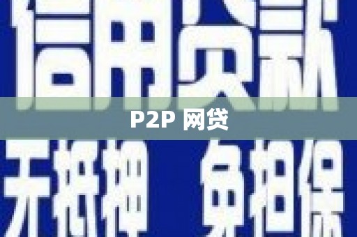 巴马P2P 网贷