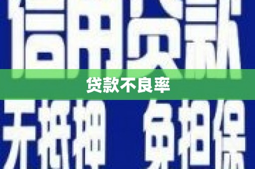 巴马贷款不良率
