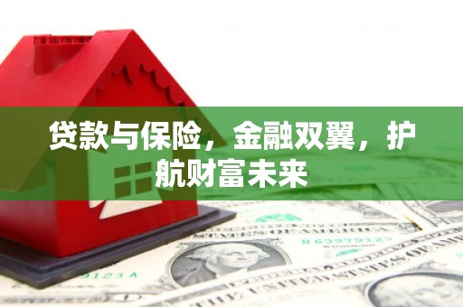 巴马贷款与保险，金融双翼，护航财富未来