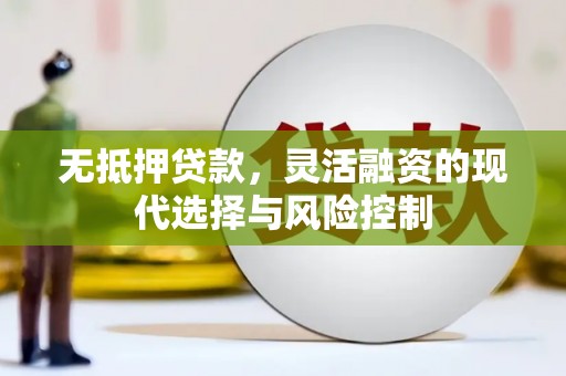 巴马无抵押贷款，灵活融资的现代选择与风险控制