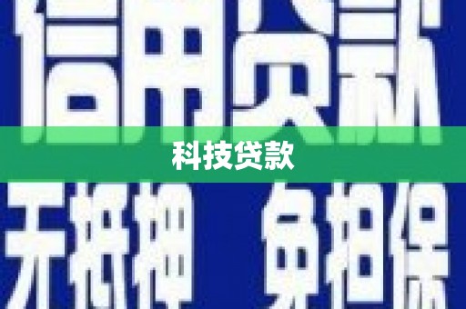 巴马科技贷款