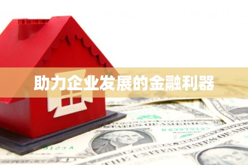 巴马助力企业发展的金融利器