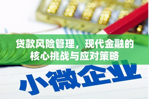 巴马贷款风险管理，现代金融的核心挑战与应对策略
