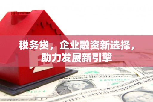 巴马税务贷，企业融资新选择，助力发展新引擎