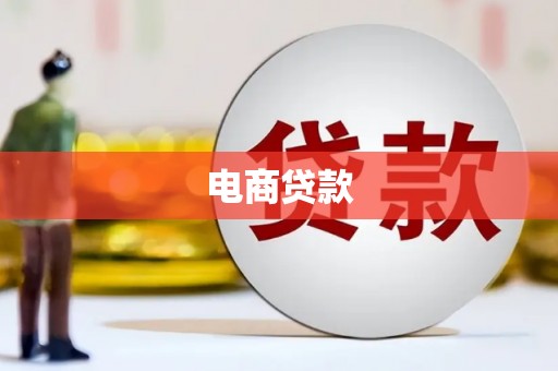 巴马电商贷款