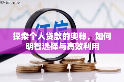 巴马探索个人贷款的奥秘，如何明智选择与高效利用