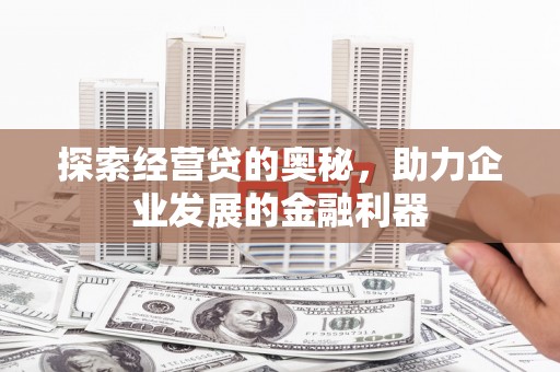 巴马探索经营贷的奥秘，助力企业发展的金融利器