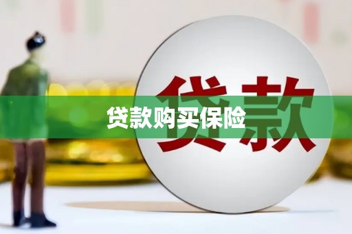 巴马贷款购买保险