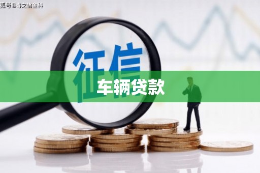 巴马车辆贷款