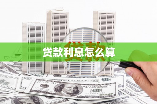 巴马贷款利息怎么算