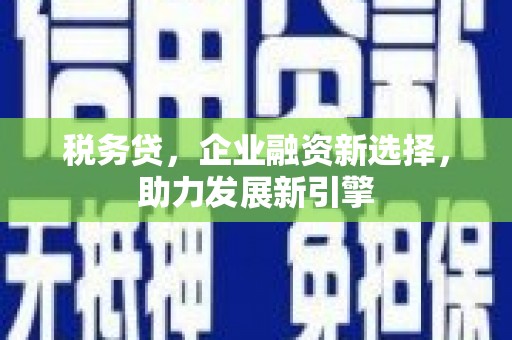巴马税务贷，企业融资新选择，助力发展新引擎