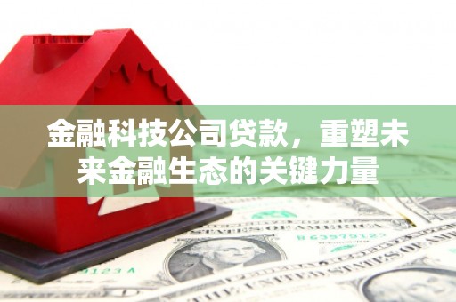 巴马金融科技公司贷款，重塑未来金融生态的关键力量