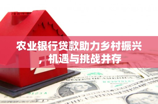 巴马农业银行贷款助力乡村振兴，机遇与挑战并存