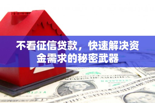巴马不看征信贷款，快速解决资金需求的秘密武器
