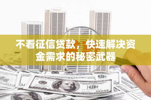 巴马不看征信贷款，快速解决资金需求的秘密武器