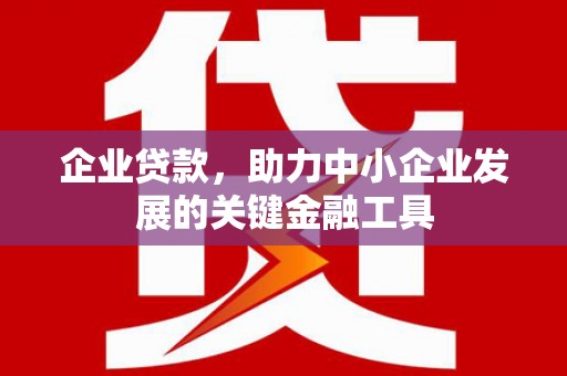 巴马企业贷款，助力中小企业发展的关键金融工具