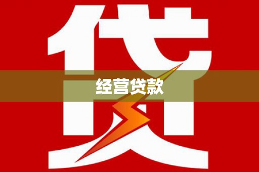 巴马经营贷款