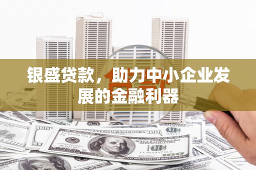 巴马银盛贷款，助力中小企业发展的金融利器