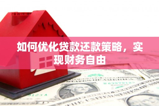 巴马如何优化贷款还款策略，实现财务自由