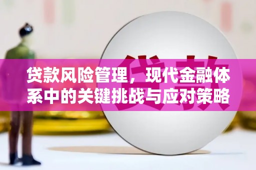 巴马贷款风险管理，现代金融体系中的关键挑战与应对策略