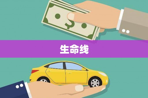 巴马生命线