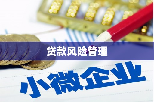 巴马贷款风险管理