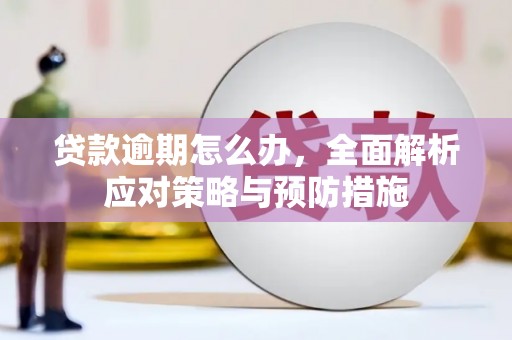 巴马贷款逾期怎么办，全面解析应对策略与预防措施