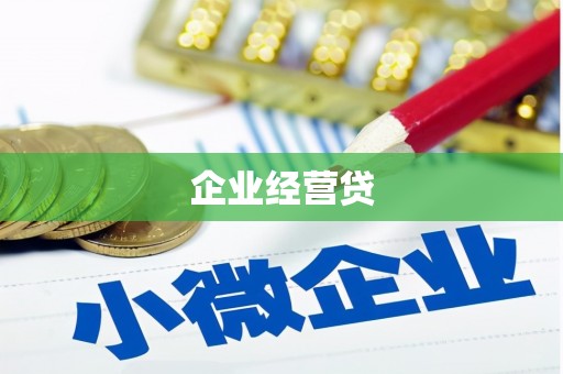 巴马企业经营贷