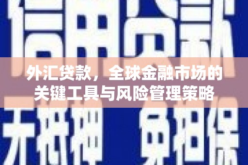 巴马外汇贷款，全球金融市场的关键工具与风险管理策略