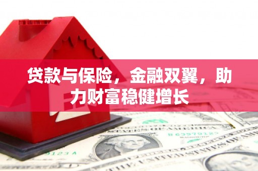 巴马贷款与保险，金融双翼，助力财富稳健增长