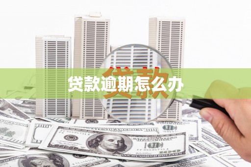 巴马贷款逾期怎么办