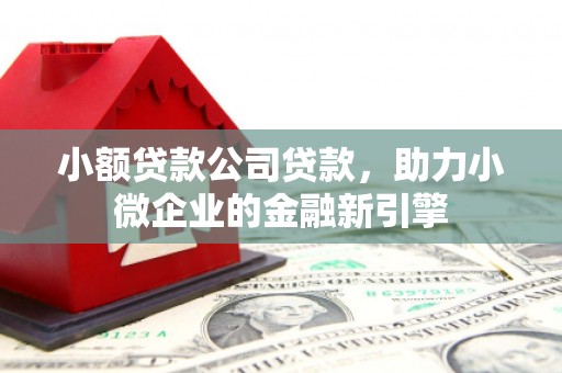 巴马小额贷款公司贷款，助力小微企业的金融新引擎