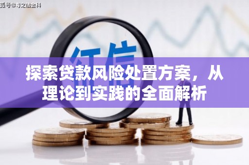 巴马探索贷款风险处置方案，从理论到实践的全面解析