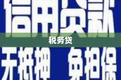 巴马税务贷