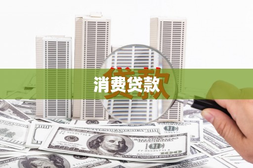巴马消费贷款