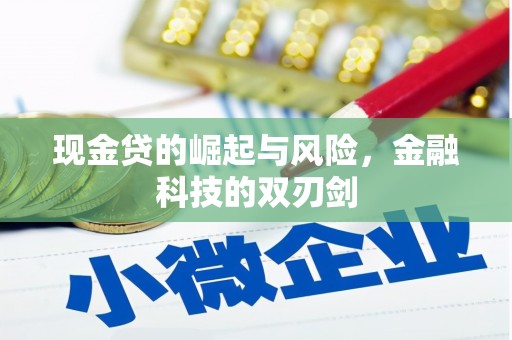 巴马现金贷的崛起与风险，金融科技的双刃剑