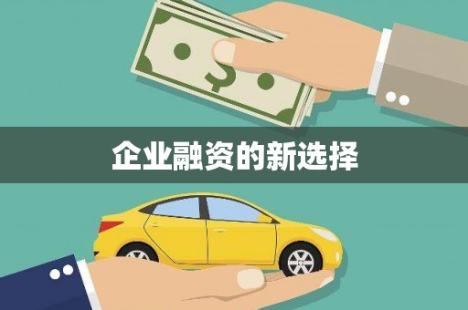 巴马企业融资的新选择